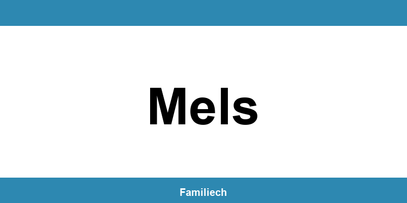 Kontakt zum Zivilstandsamt in Mels